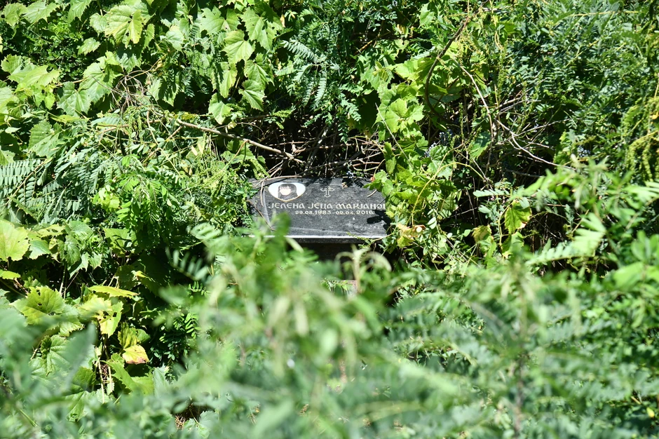 Jelena Marjanović  zarasla spomen ploča