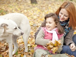 Maminy biznes, czyli sklep w sieci