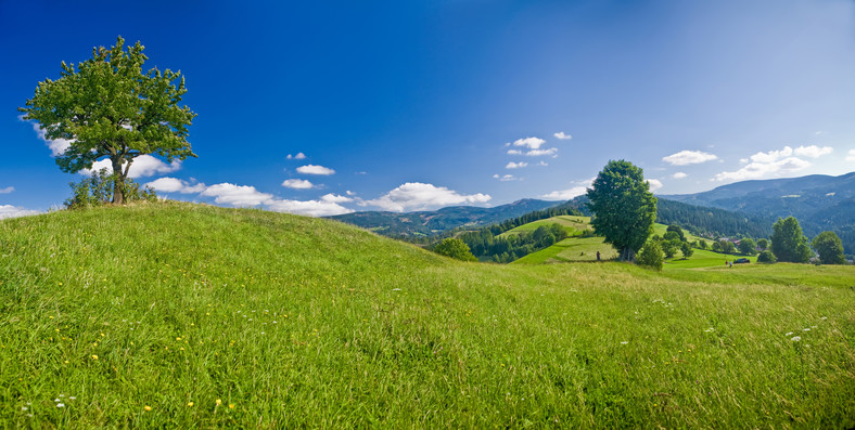 Panorama Cieńkowa