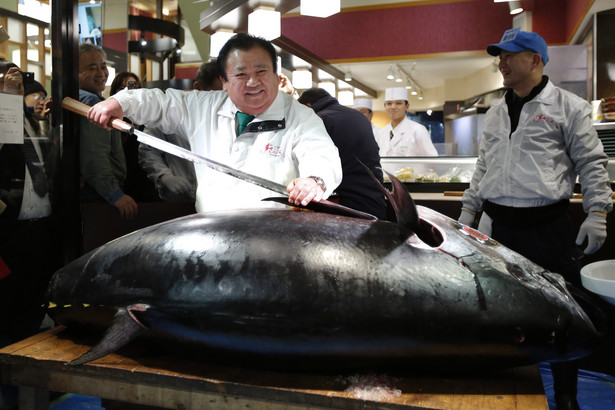 Aukcja tuńczyków w Japonii