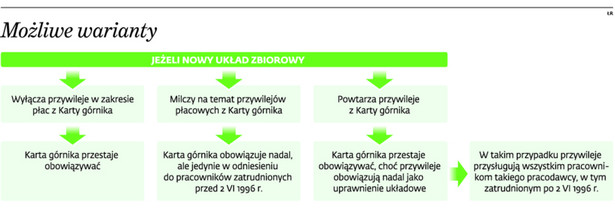 Możliwe warianty