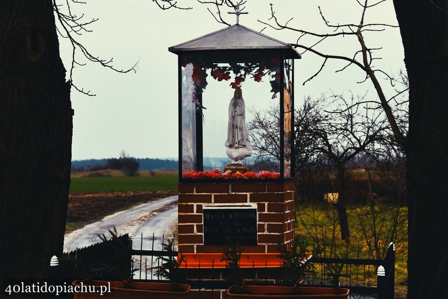 Historia "starej jedynki"