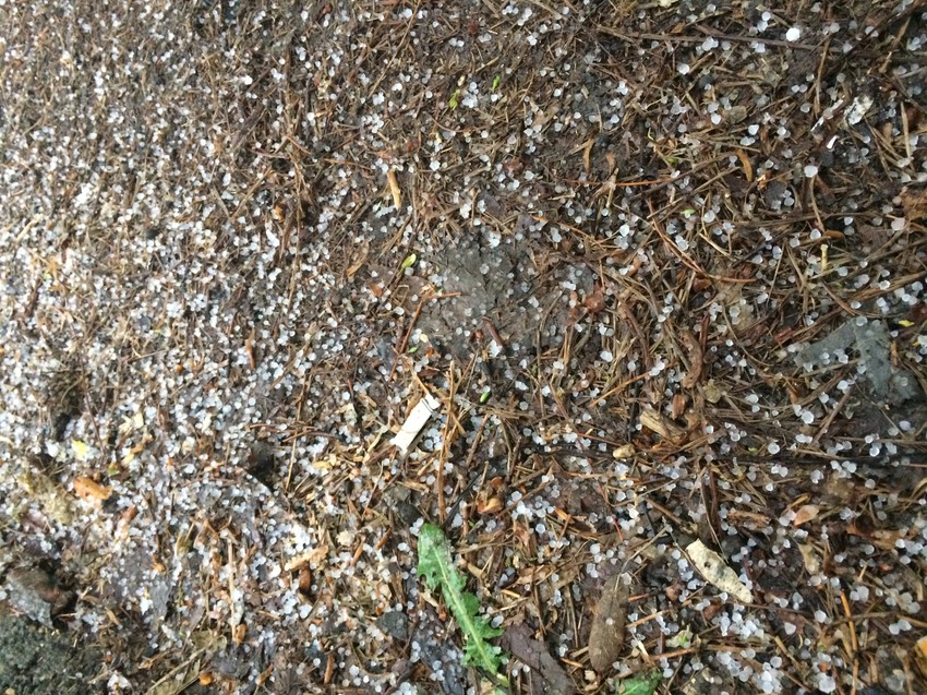 Grad na Novom Beogradu