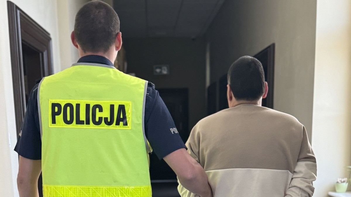 Brutalna bójka grupy cudzoziemców w Gdańsku. Zatrzymano osiem osób
