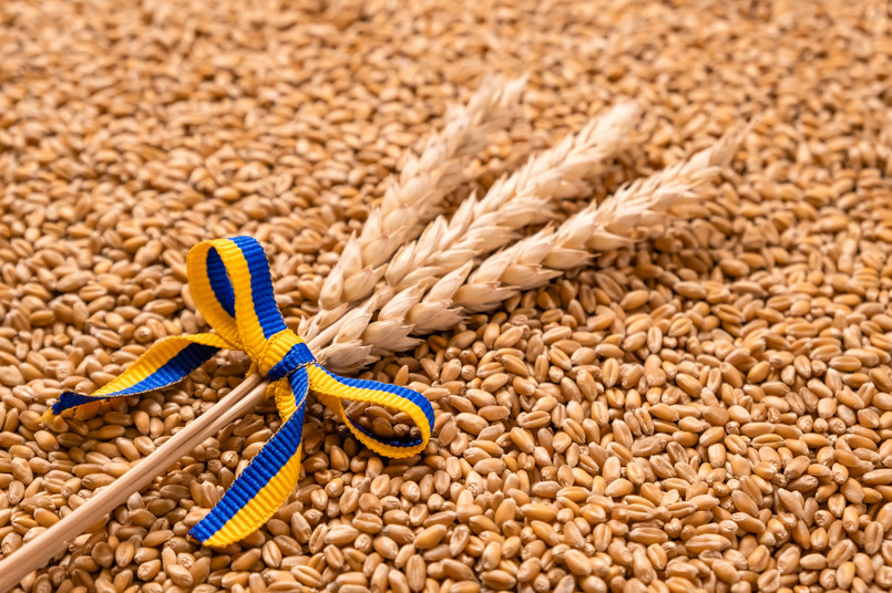 Ukraina to ważny eksporter pszenicy, a blokada jej portów w związku z rosyjską inwazją spowodowała gwałtowny wzrost cen.