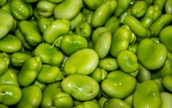 Sałatka z bobem i pomidorami. Letnia przekąska od Jaśka Kuronia