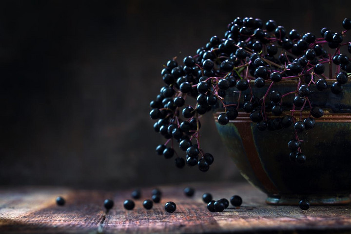 Niedojrzałe owoce czarnego bzu mogą zawierać sambunigrynę