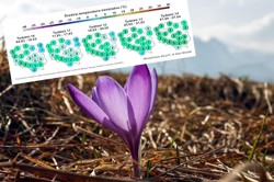 W końcu marca wrócą przymrozki. Początek kwietnia nie będzie zachwycający. Prognoza na ŚWIĘTA