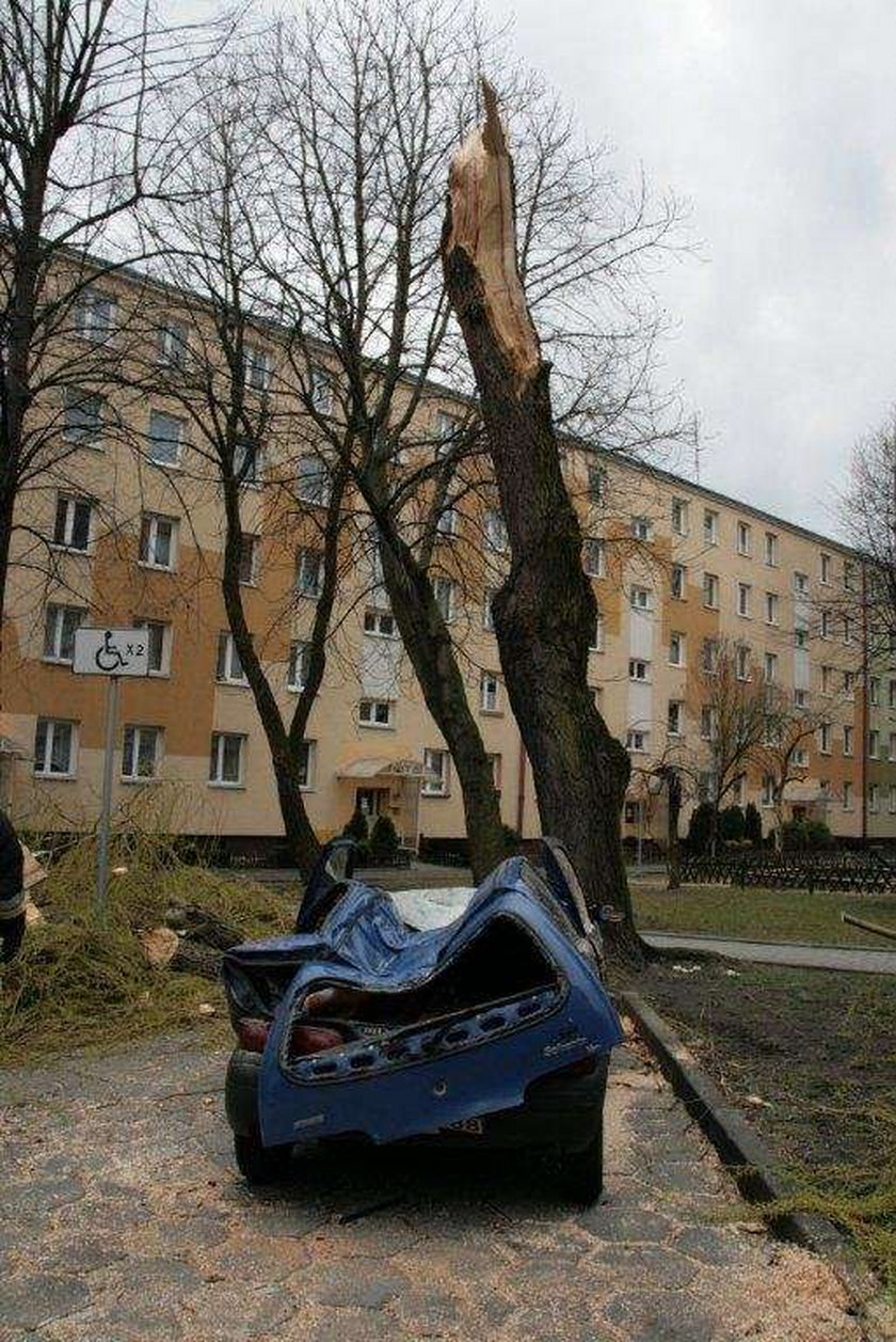 Drzewo zmiażdżyło samochód. O krok od tragedii