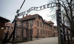 Nastoletni Anglicy odpowiedzą za kradzież pamiątek z Auschwitz 