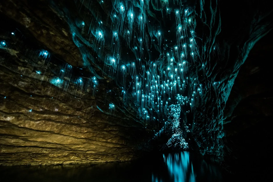 Vaitomo pećine u Novom Zelandu osvetljavaju larve svitaca