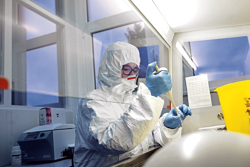 Institut Torlak korona virus