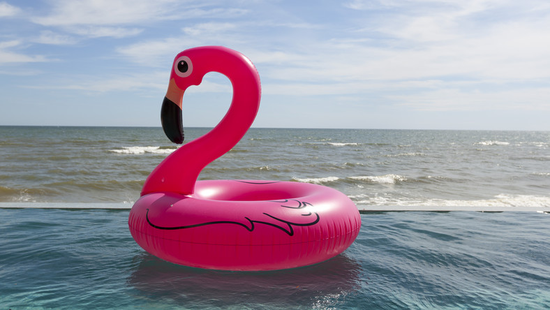 Dania: Dmuchane flamingi powodem niepotrzebnych akcji ratunkowych na morzu 