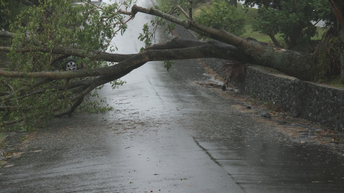 Niemieckie służby meteorologiczne ostrzegają przed silnym wiatrem. Niebezpiecznie będzie na drogach i torach kolejowych. Niemieckie koleje odradzają podróże.