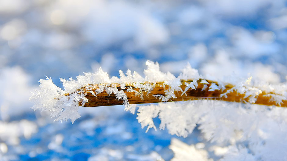 Zima i rekordy temperatur