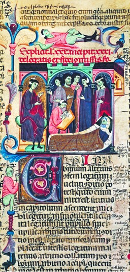 Jońca: Prawo do objaśniania