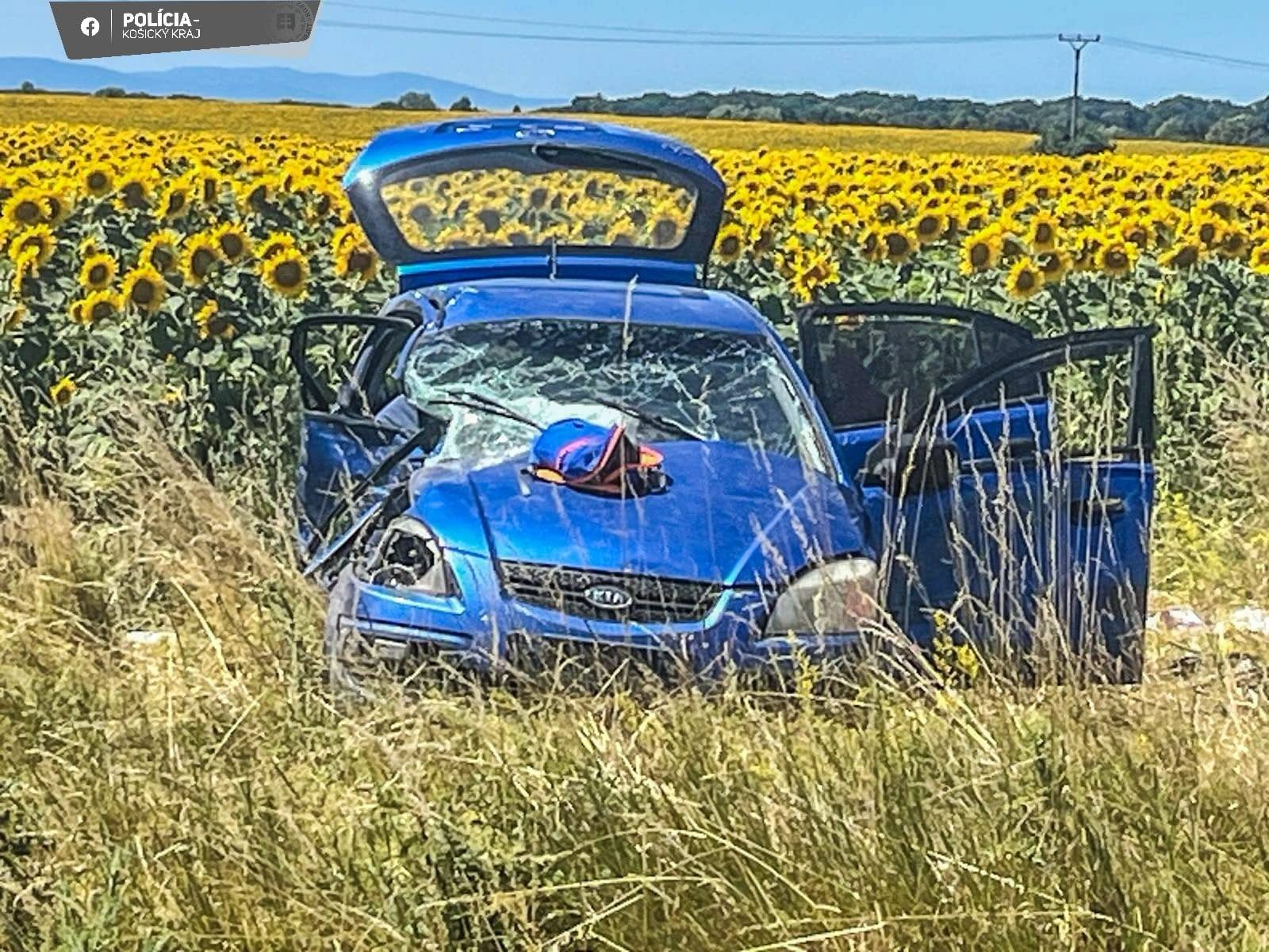 Pri vážnej nehode v obci Pavlovce nad Uhom sa ťažko zranili deti.