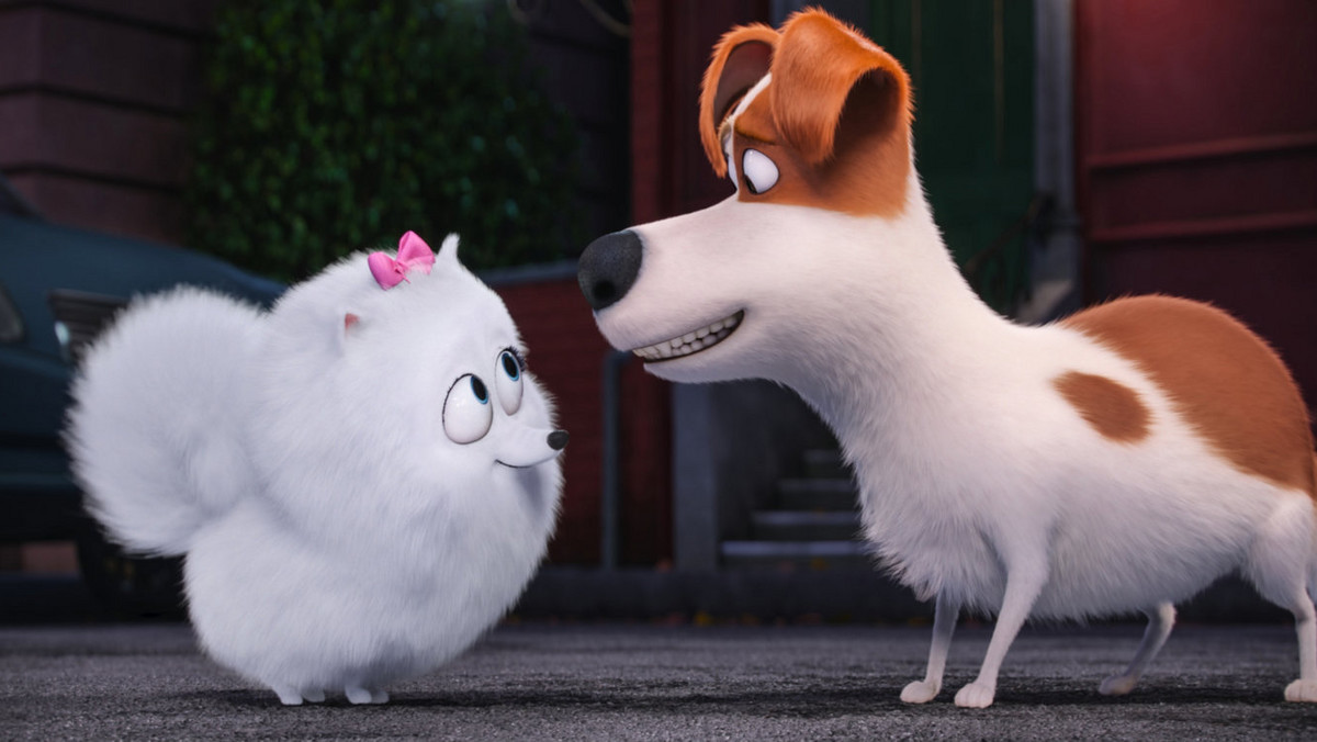 Animacja "Sekretne życie zwierzaków domowych" zadebiutowała na szczycie amerykańskiego box office. Film zarobił 103,2 mln dolarów.