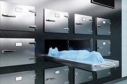 Nowe wydziały lekarskie nieprzygotowane do zajęć z anatomii. "Nic nie zastąpi nauczania na zwłokach"