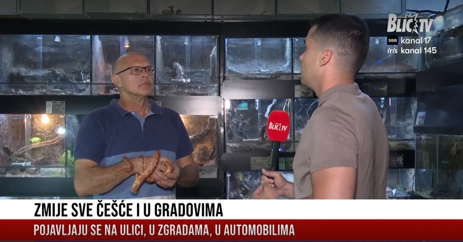 Branislav Jakovljević