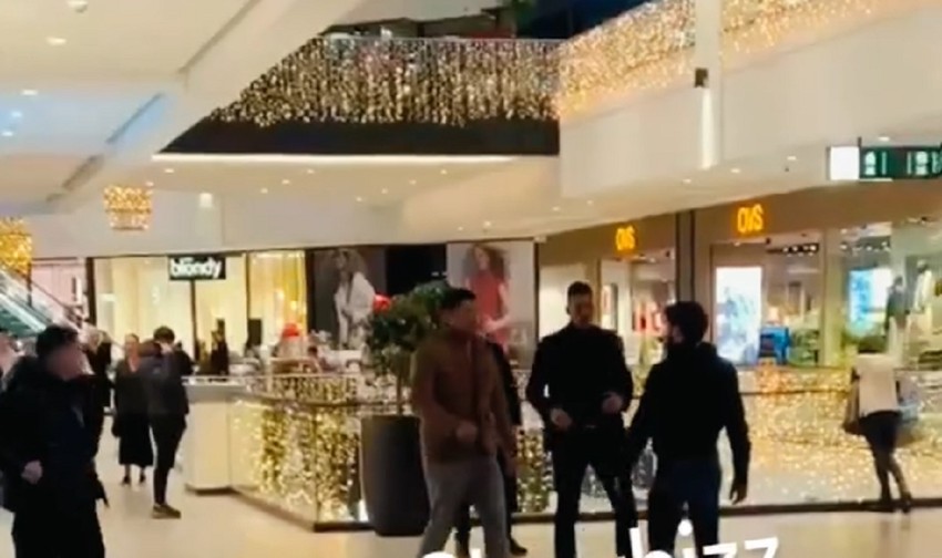 Vujadin Savić, tuča