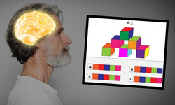 W jakim wieku jest twój mózg? 13 pytań pokaże, jak szybko się starzeje