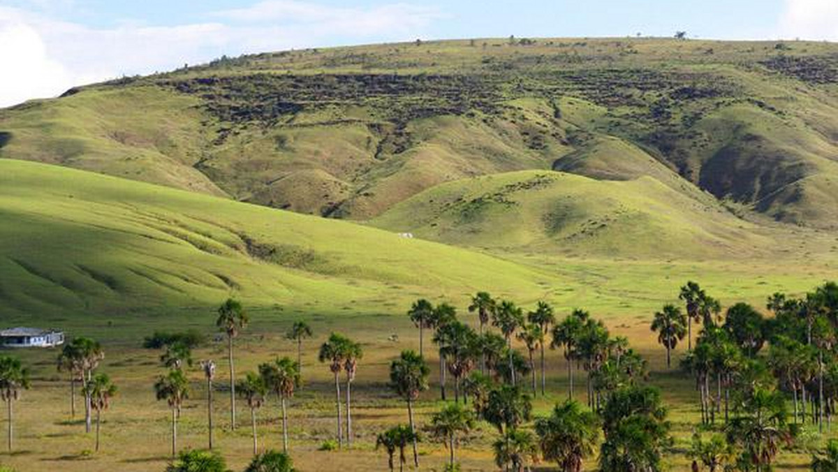 Galeria Wenezuela - Gran Sabana i Roraima, obrazek 1