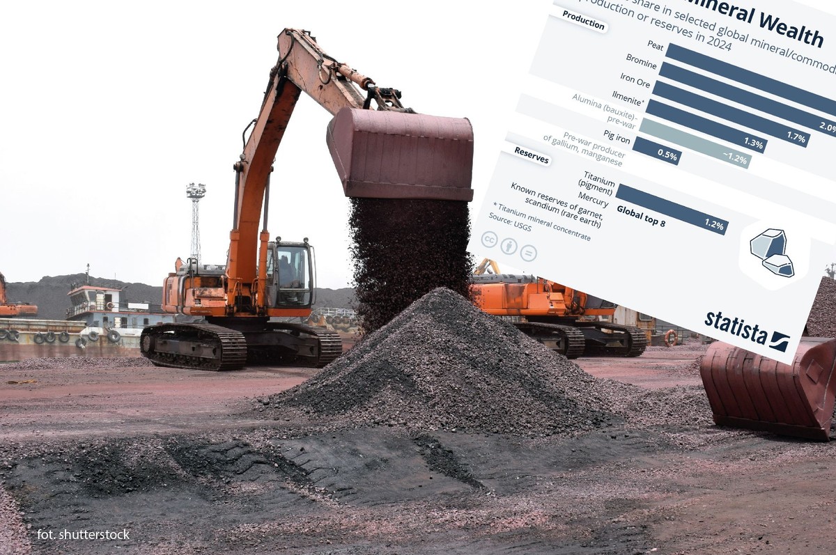 Udział Ukrainy w światowym wydobyciu lub zasobach wybranych surowców mineralnych