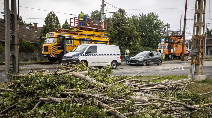 A biztosítók közölték, mekkora pusztítást végzett a vihar a hétvégén / Fotó: Knap Zoltán