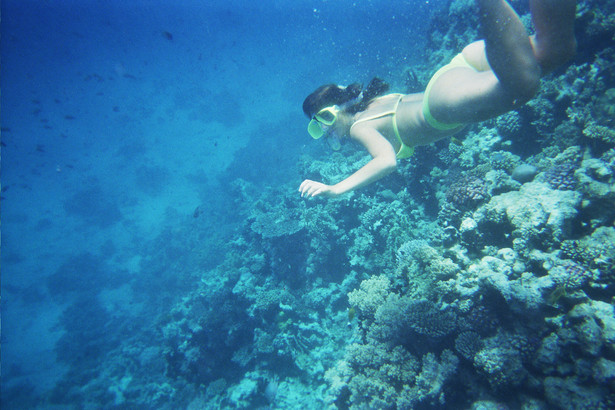 Hurghada (Mar Roig), Egipt: snorkling jest dostępny dla wszystkich, a płetwy i maskę można wypożyczyć. Fot. diluvi, źródło: flickr.com. Licencja CC Attribution 2.0 Generic