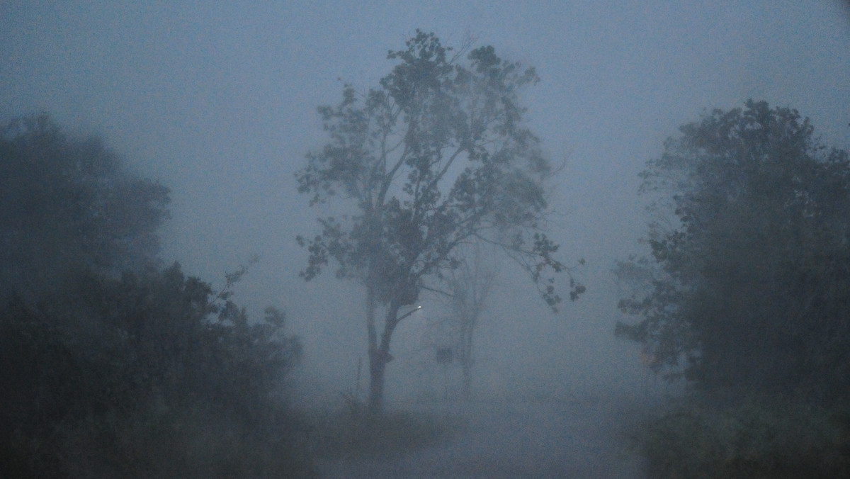 Jak informują synoptycy z Instytutu Meteorologii i Gospodarki Wodnej, w Wielkopolsce mogą występować burze z opadami deszczu, a lokalnie także gradu.