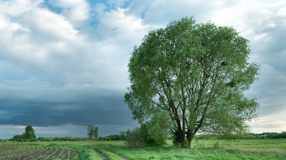 Prognoza pogody na niedzielę 9 maja