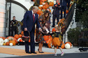 Donald i Melania Trump świętują Halloween