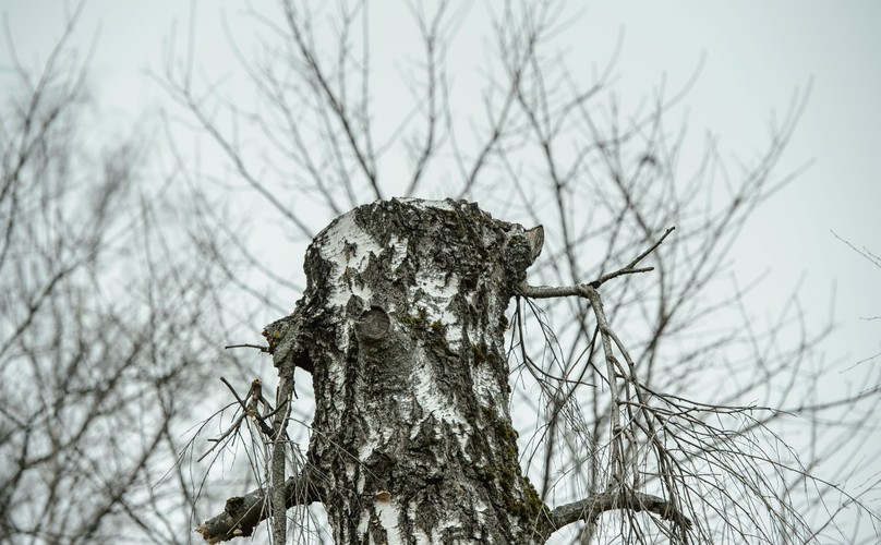 MIEJSCE KATASTROFY W SMOLEŃSKU