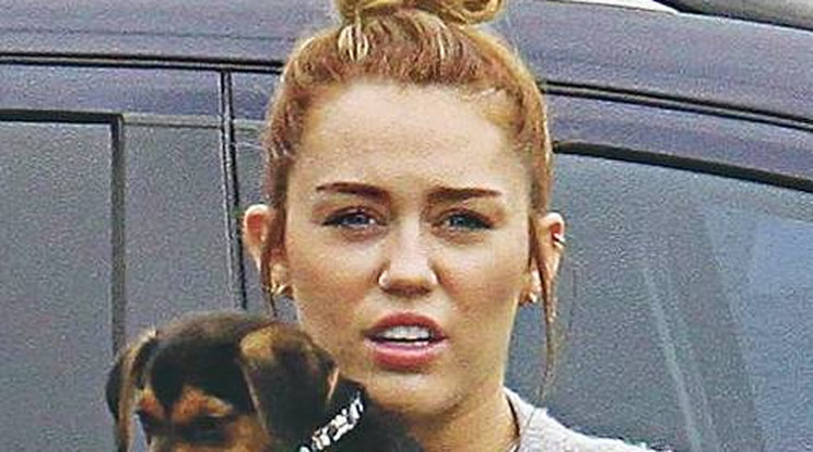 Gyémántot evett Miley kutyája