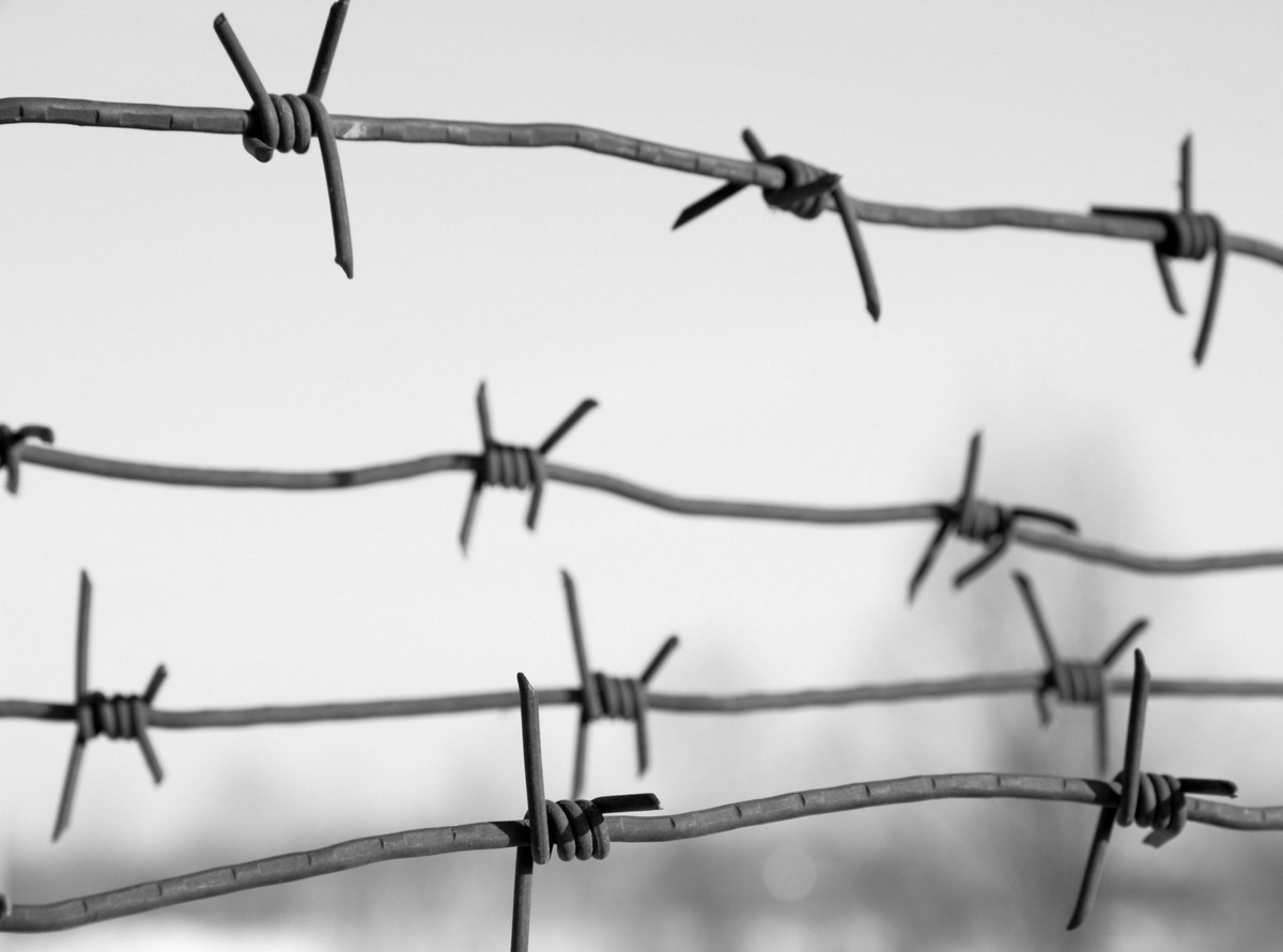 „Momenty natury ściśle humanitarnej nakazują nam pójść jak najdalej”