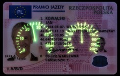 Nowy raport NIK miażdży: Trudne egzaminy na prawo jazdy to bzdura. Ile razy można oblać? Rekord to...