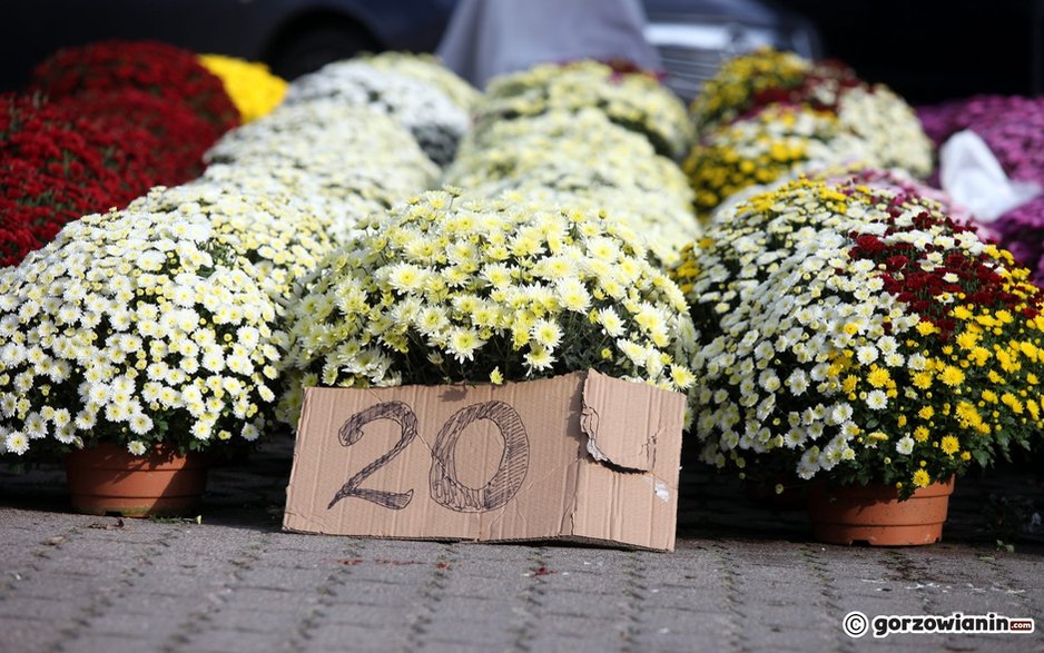 Ruch na największym gorzowskim cmentarzu coraz większy