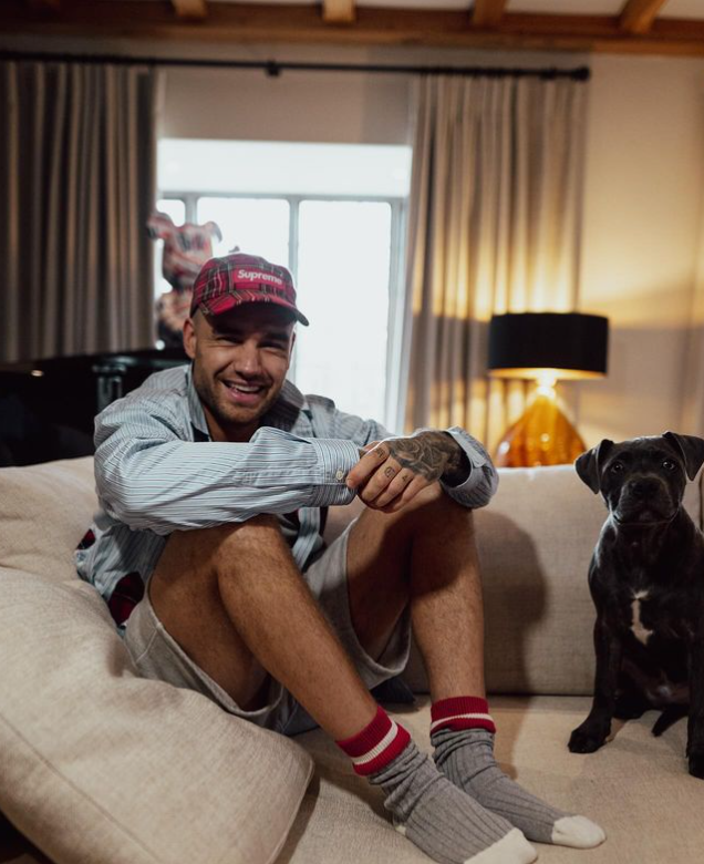 Spevák Liam Payne.