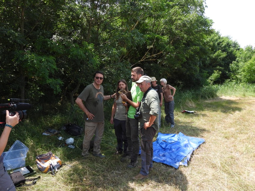 Jovan Memedović sa krstašem Jocom i ekipom ornitologa