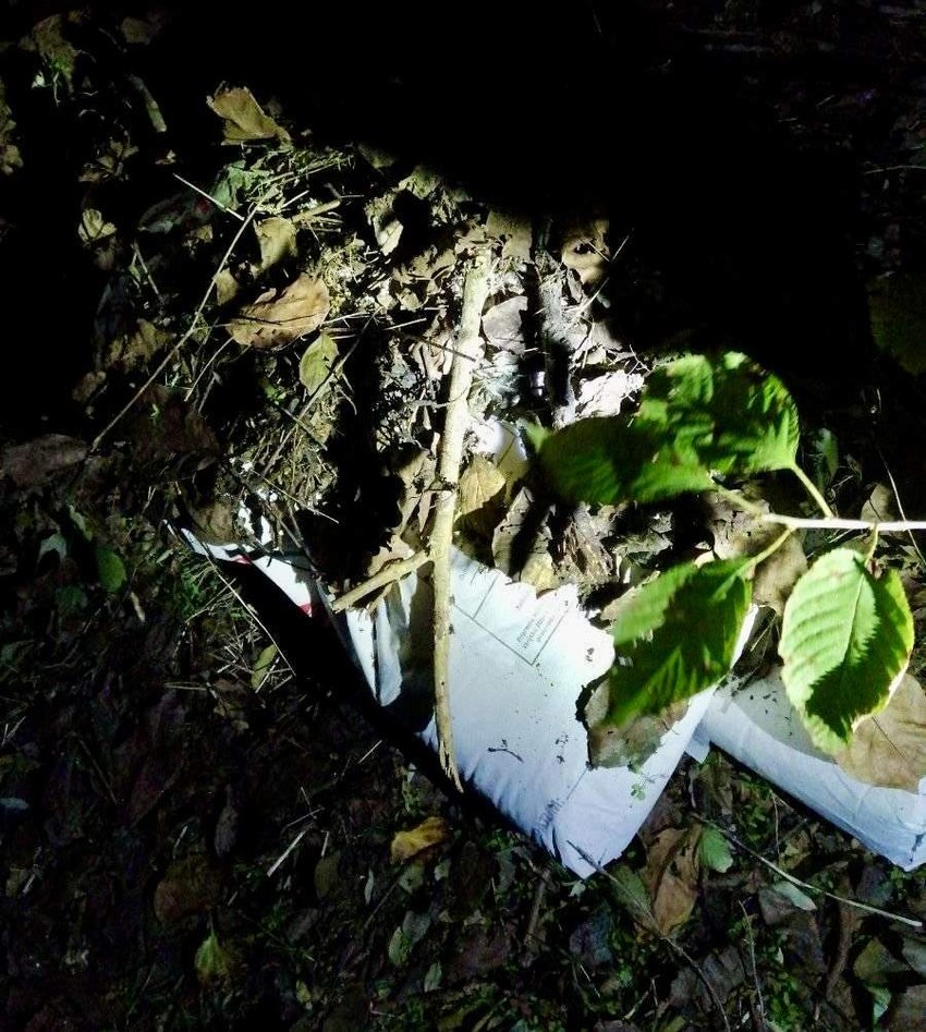 policija organizovni kriminal ubistvo hapšenje