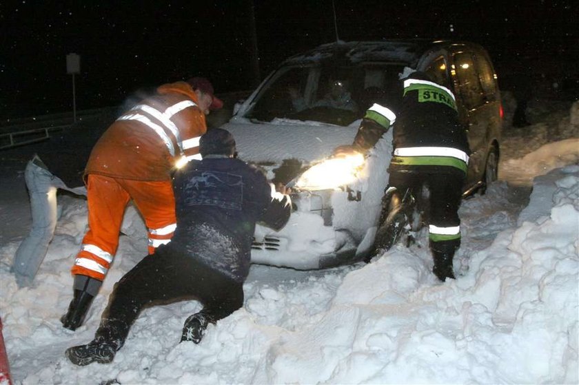 Zima będzie ciężka. Polarny dzik wyszedł z lasu