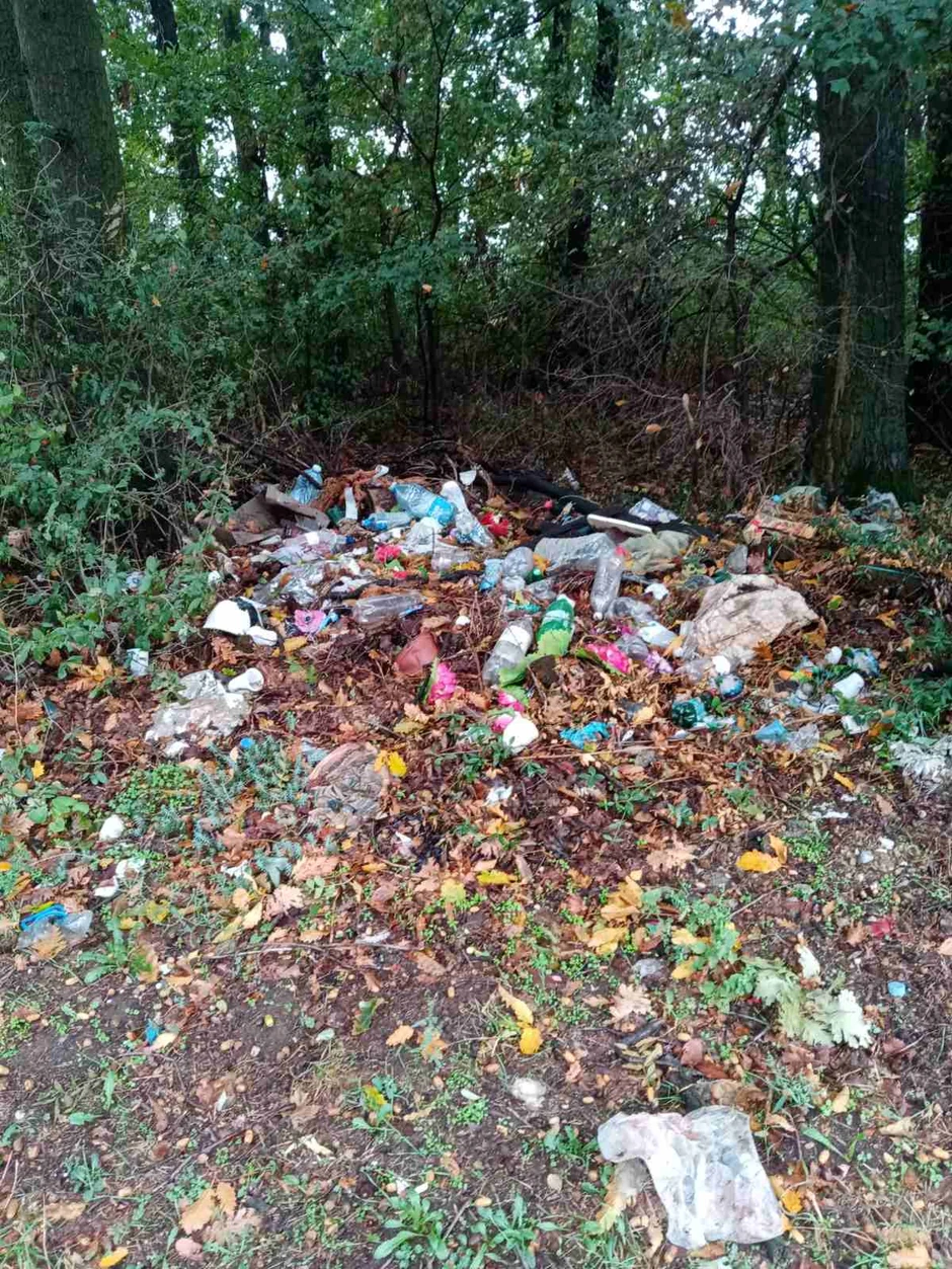 Topola, akcija čišćenja