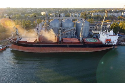 "Misja uwolnienia ukraińskiej pszenicy". Kanada gotowa wysłać statki