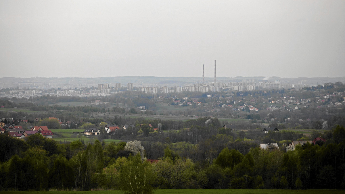 Krakowscy parlamentarzyści nie wprowadzą w tym roku całkowitego zakazu palenia węglem w piecach i drewnem w kominkach, czego domagają się ekolodzy – informuje gazeta.pl.