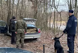 Policja i straż zauważyły w lesie auto z otwartym bagażnikiem. Kierowca nie miał żadnej wymówki