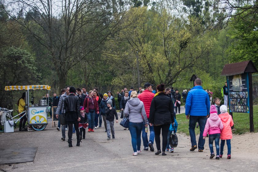 Poznańskie zoo zbiera pieniądze na budowę azylu dla zwierząt uratowanych z cyrku i nielegalnych hodowli