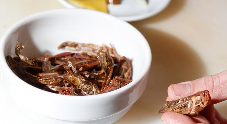 French Insect Restaurant