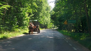 Odwiedziłam Białowieżę po 10 miesiącach zamknięcia. "Żołnierze to ciekawostka turystyczna"