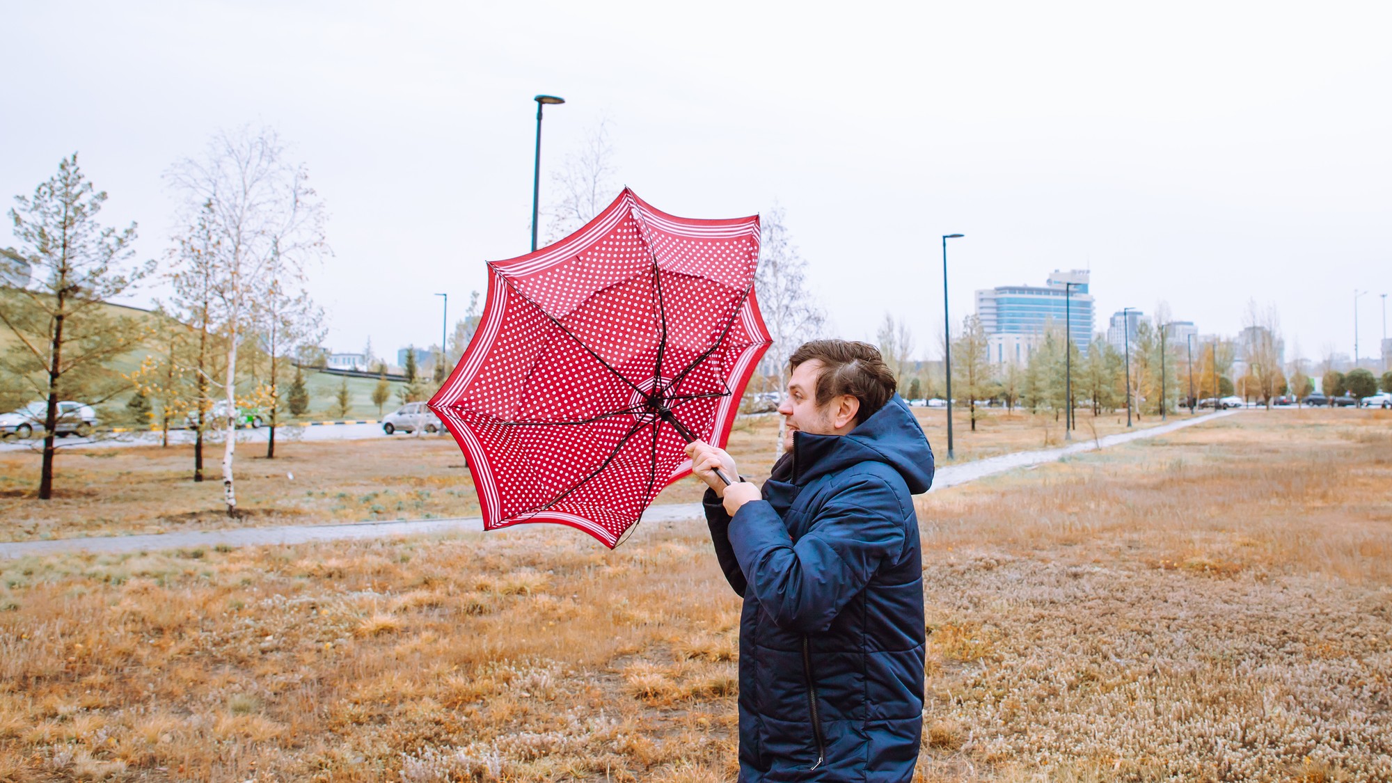 Meteorológovia upozorňujú na silný vietor. (ilustračné foto)